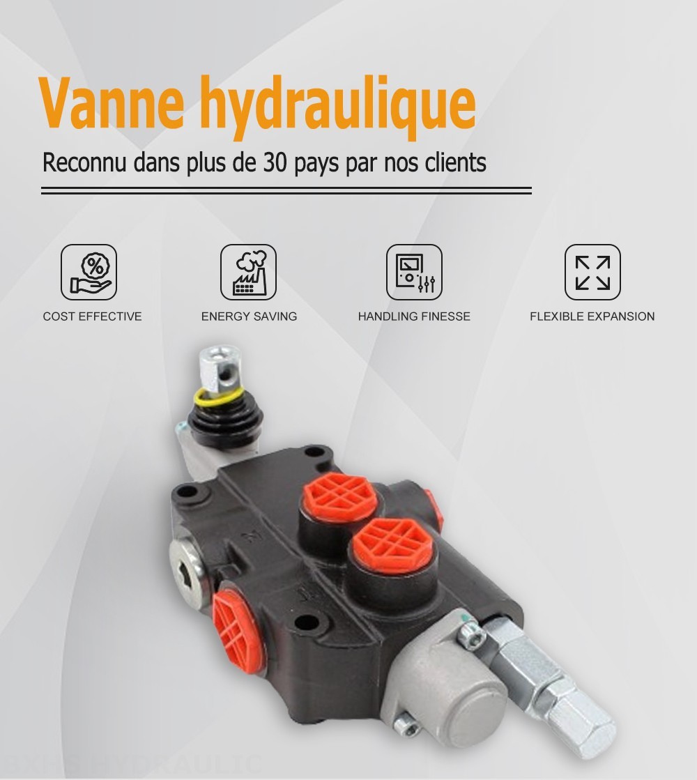 P80-G12-1OW Manuel 1 distributeur Distributeur directionnel monobloc