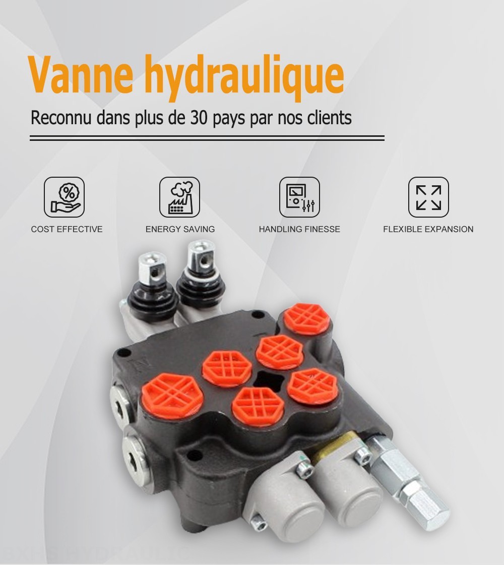 P80-G12-G34-2OT Manuel 2 distributeurs Distributeur directionnel monobloc