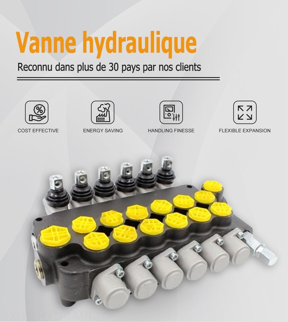 P80-G12-G34-6OT Manuel 6 distributeurs Distributeur directionnel monobloc