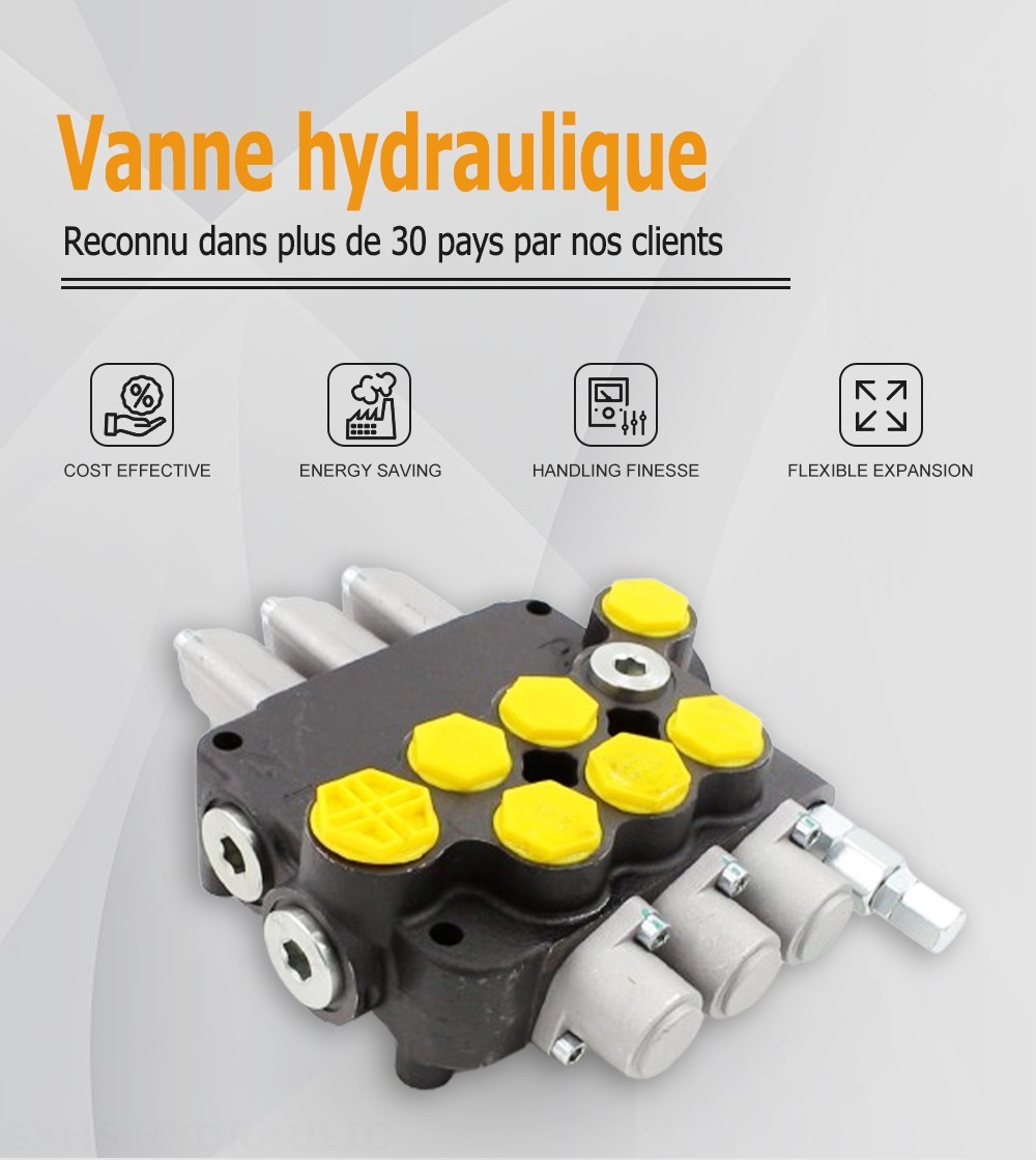 P80-G12-G34-AT-2OT Manuel 3 distributeurs Distributeur directionnel monobloc