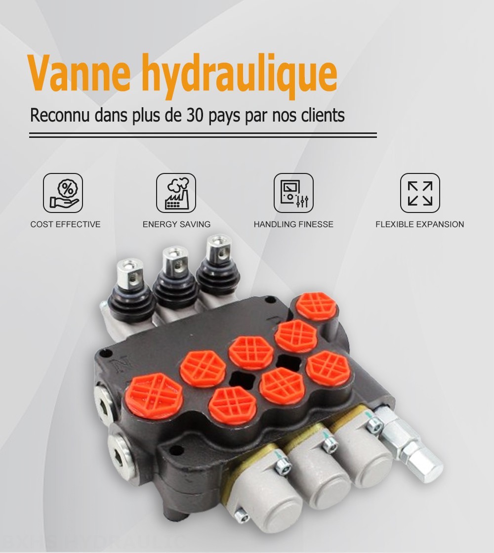 P80-G12-G34-OT Manuel 3 distributeurs Distributeur directionnel monobloc