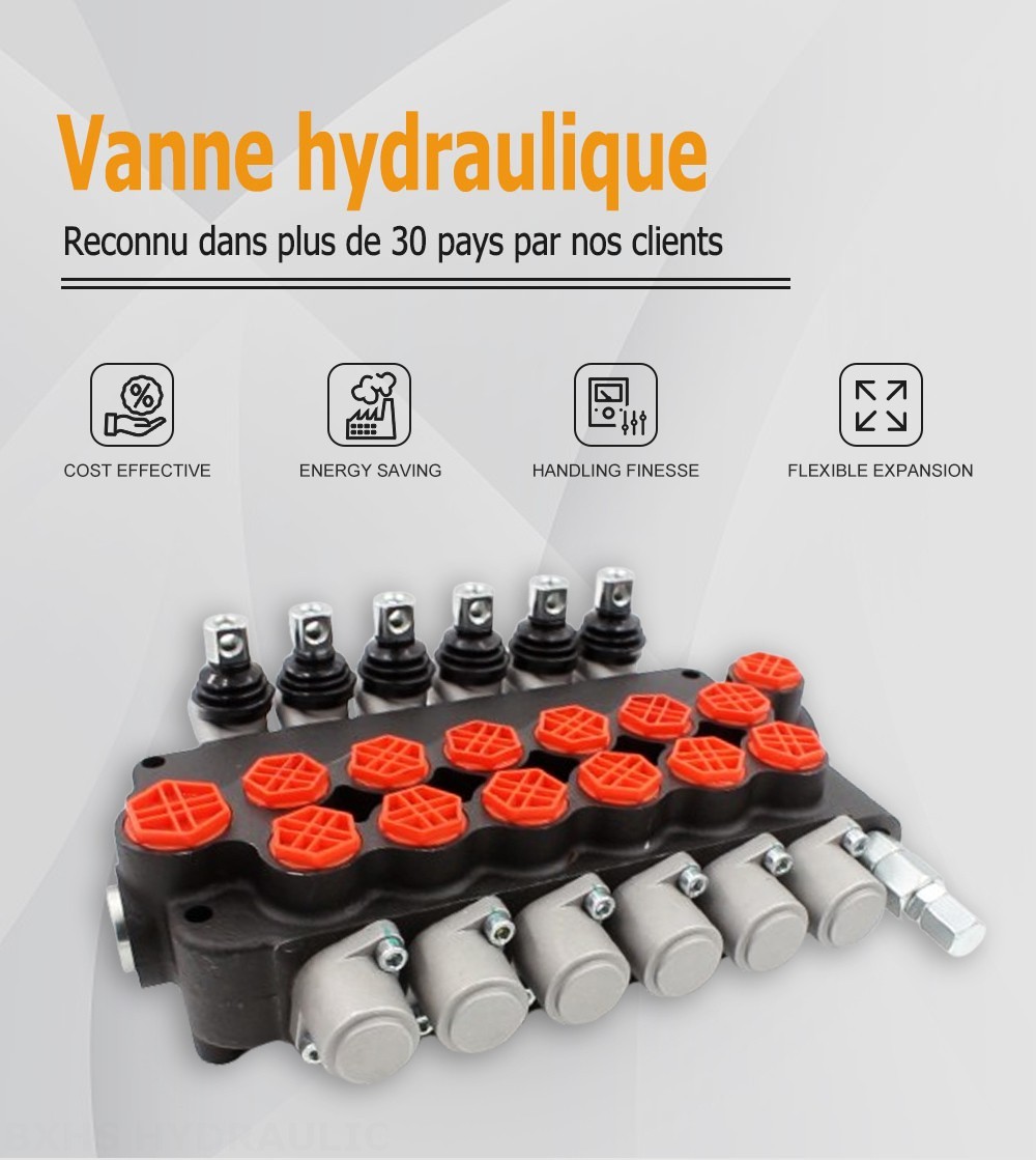 P80-G12-G34-OT Manuel 6 distributeurs Distributeur directionnel monobloc