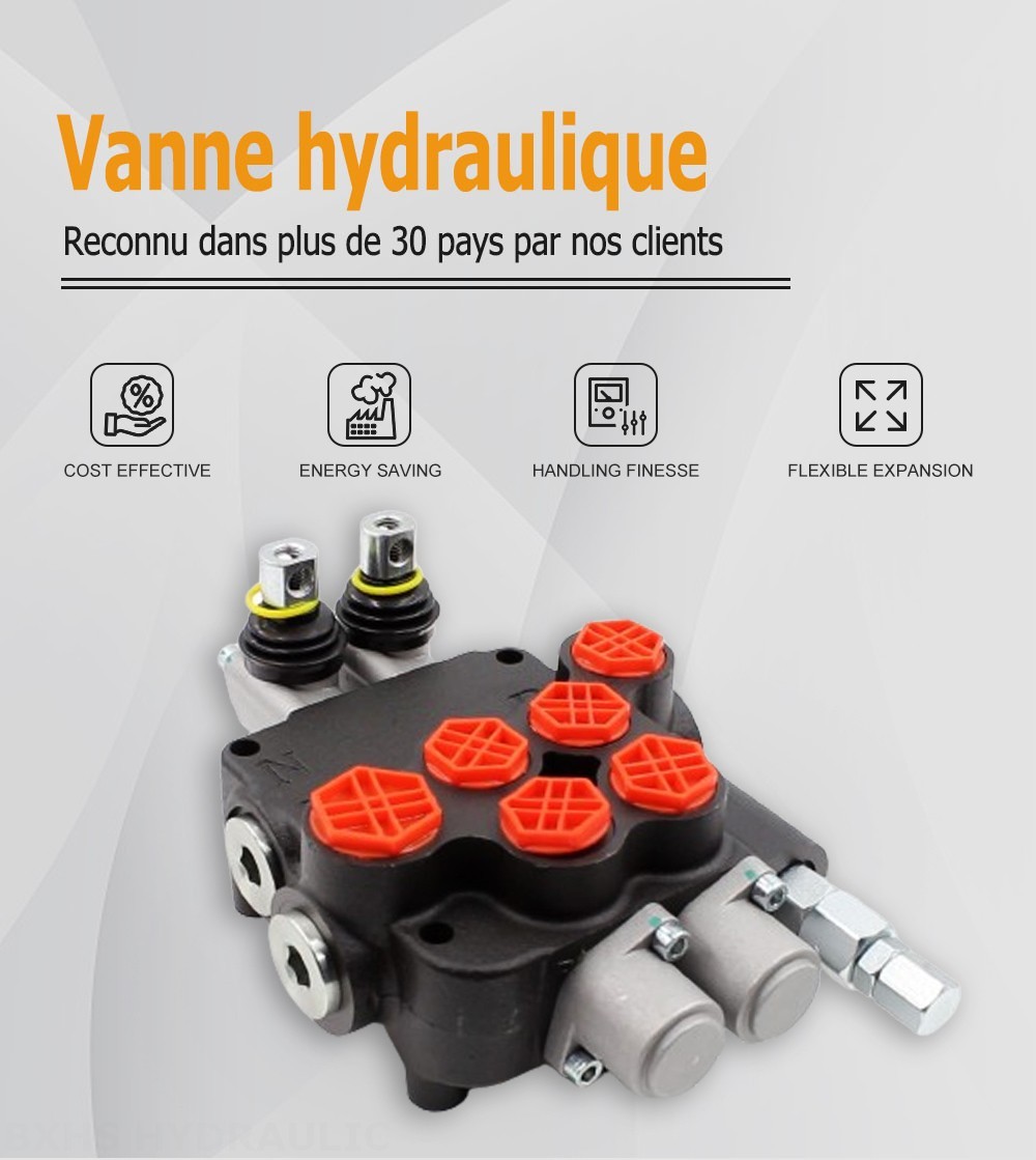 P80-G12-G34-OW Manuel 2 distributeurs Distributeur directionnel monobloc