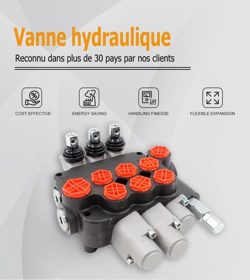 P80-G12-G34 Manuel 2 distributeurs Distributeur directionnel monobloc