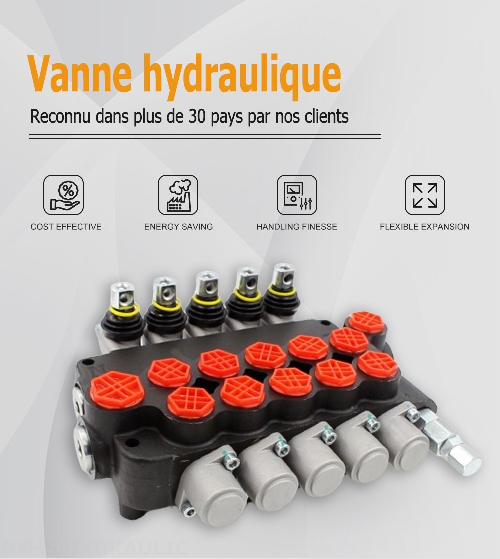 P80-G12-G38-OW Manuel 5 distributeurs Distributeur directionnel monobloc