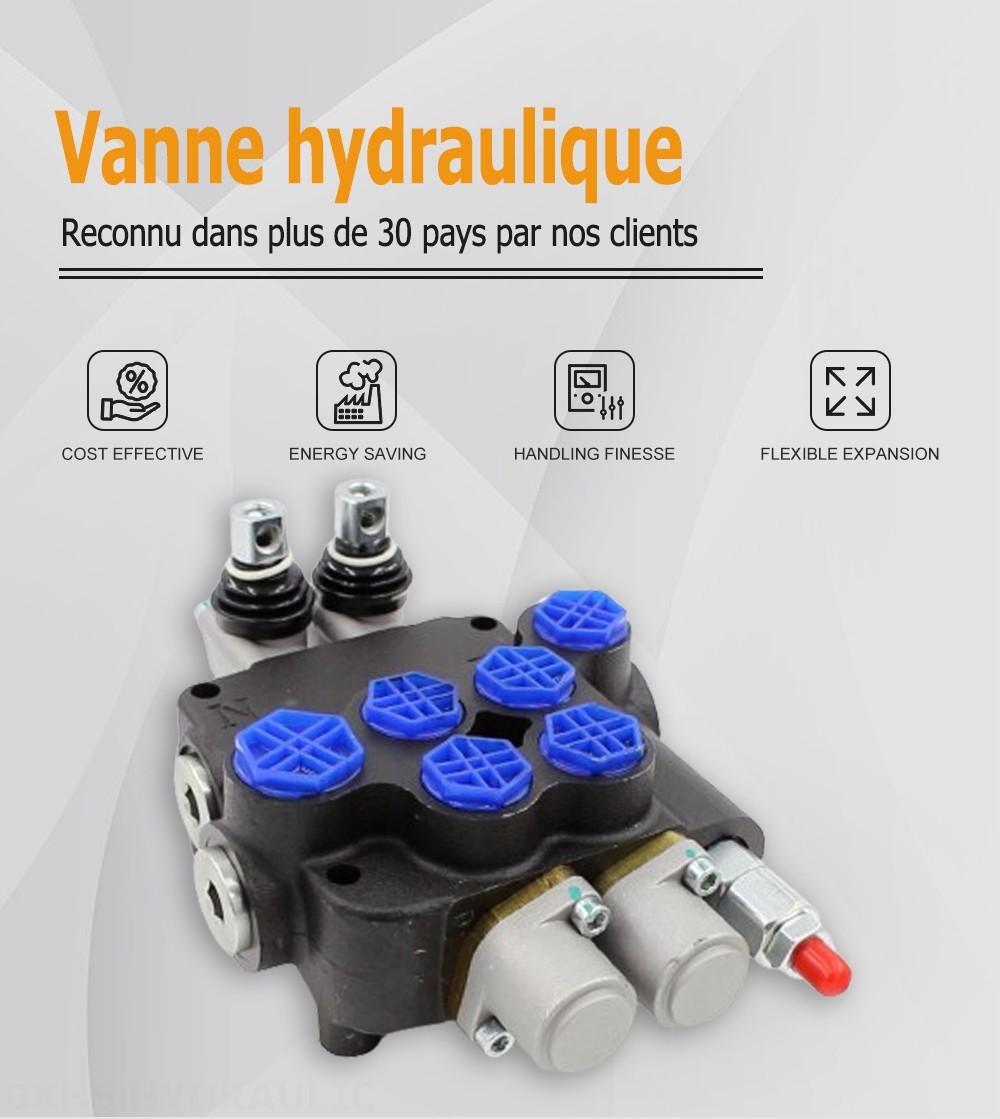 P80-G12-G38-QW Manuel 2 distributeurs Distributeur directionnel monobloc