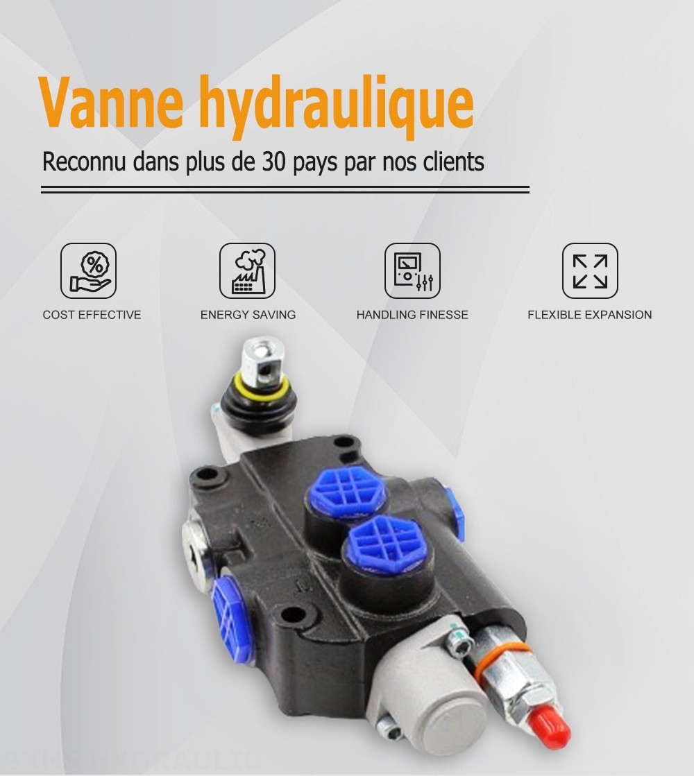 P80-G12-OW Manuel 1 distributeur Distributeur directionnel monobloc