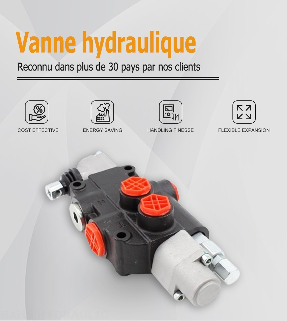 P80-G12-QTW Manuel 1 distributeur Distributeur directionnel monobloc