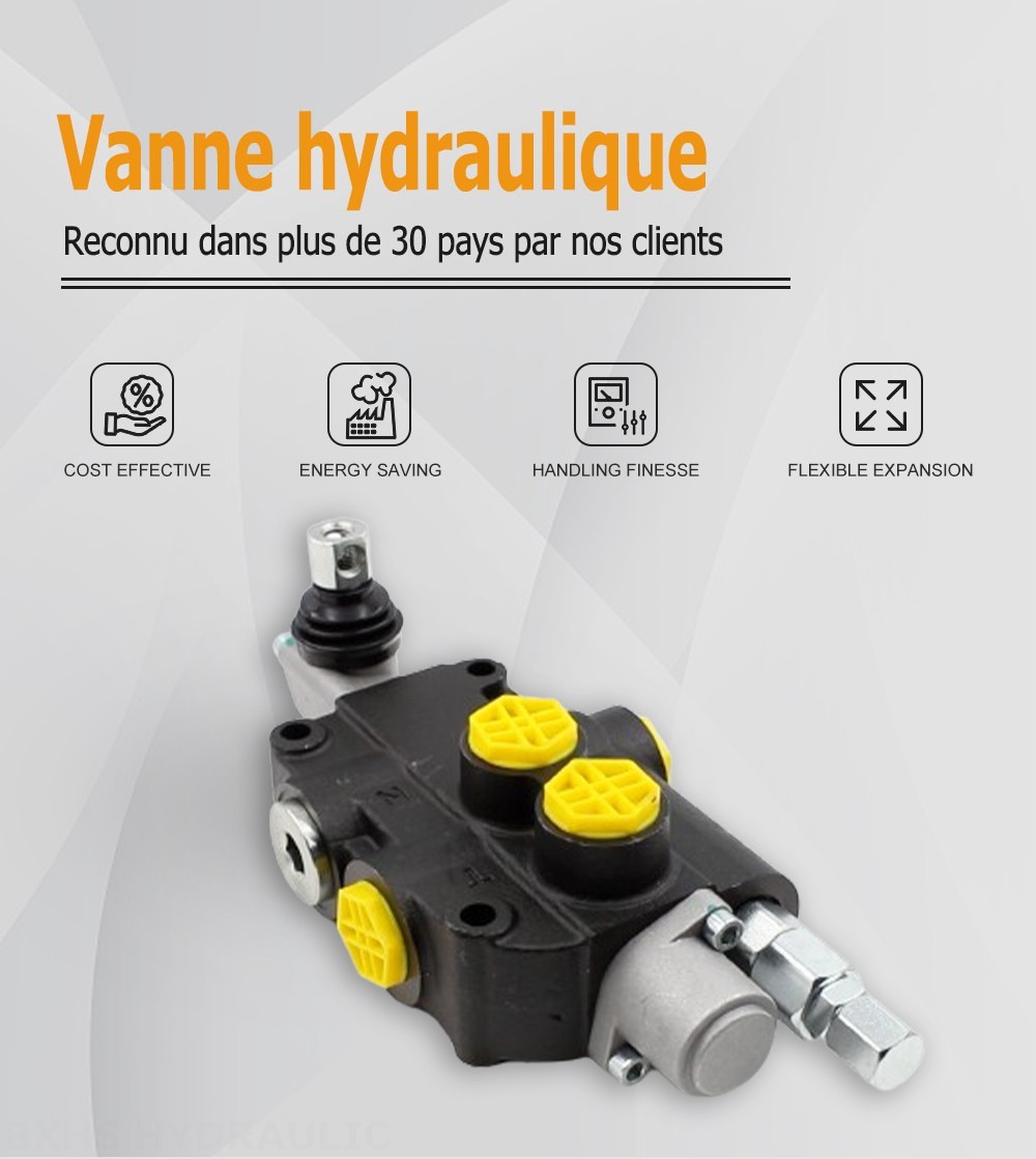 P80-G12 Manuel 1 distributeur Distributeur directionnel monobloc