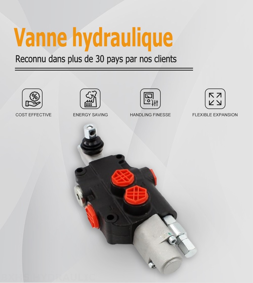 P80-G34-1OT Manuel 1 distributeur Distributeur directionnel monobloc