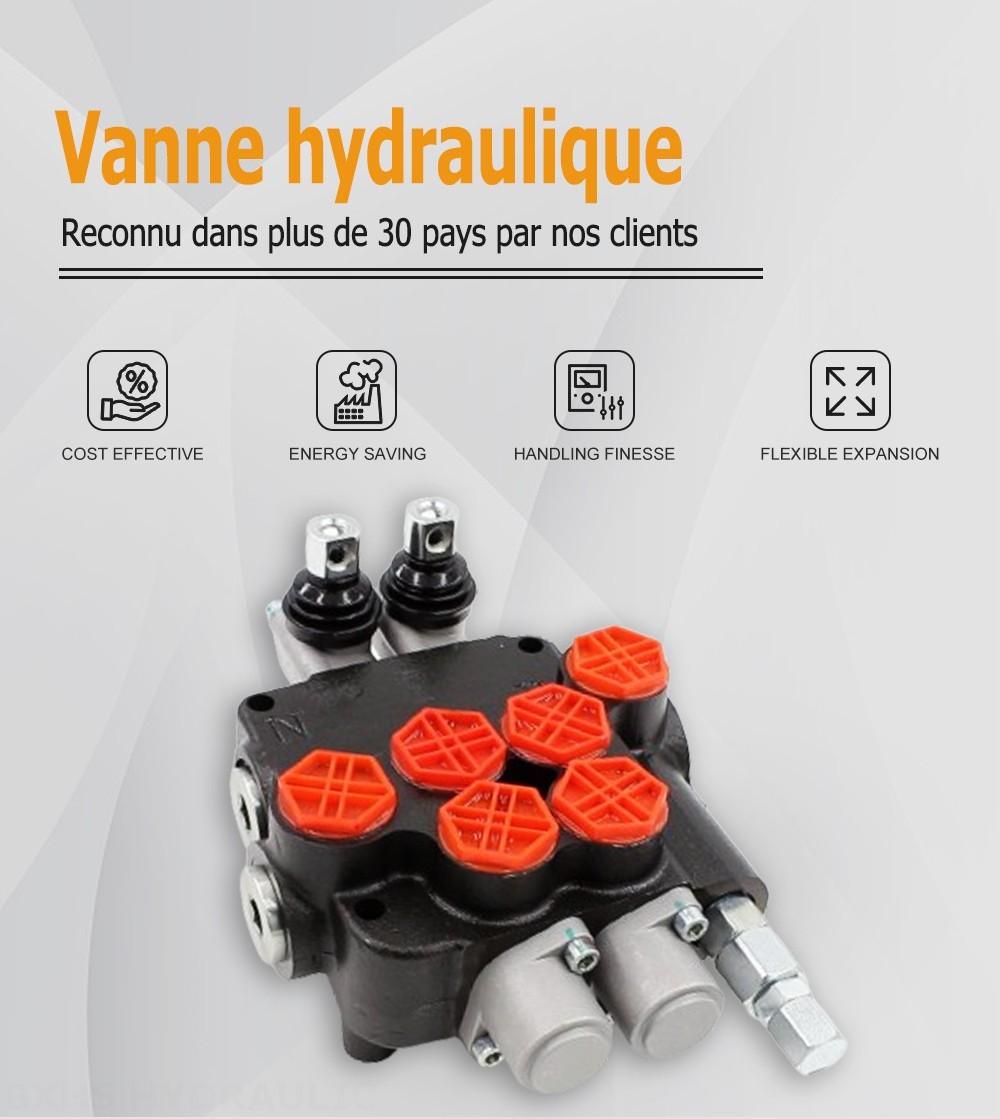 P80-G34-2OT Manuel 2 distributeurs Distributeur directionnel monobloc