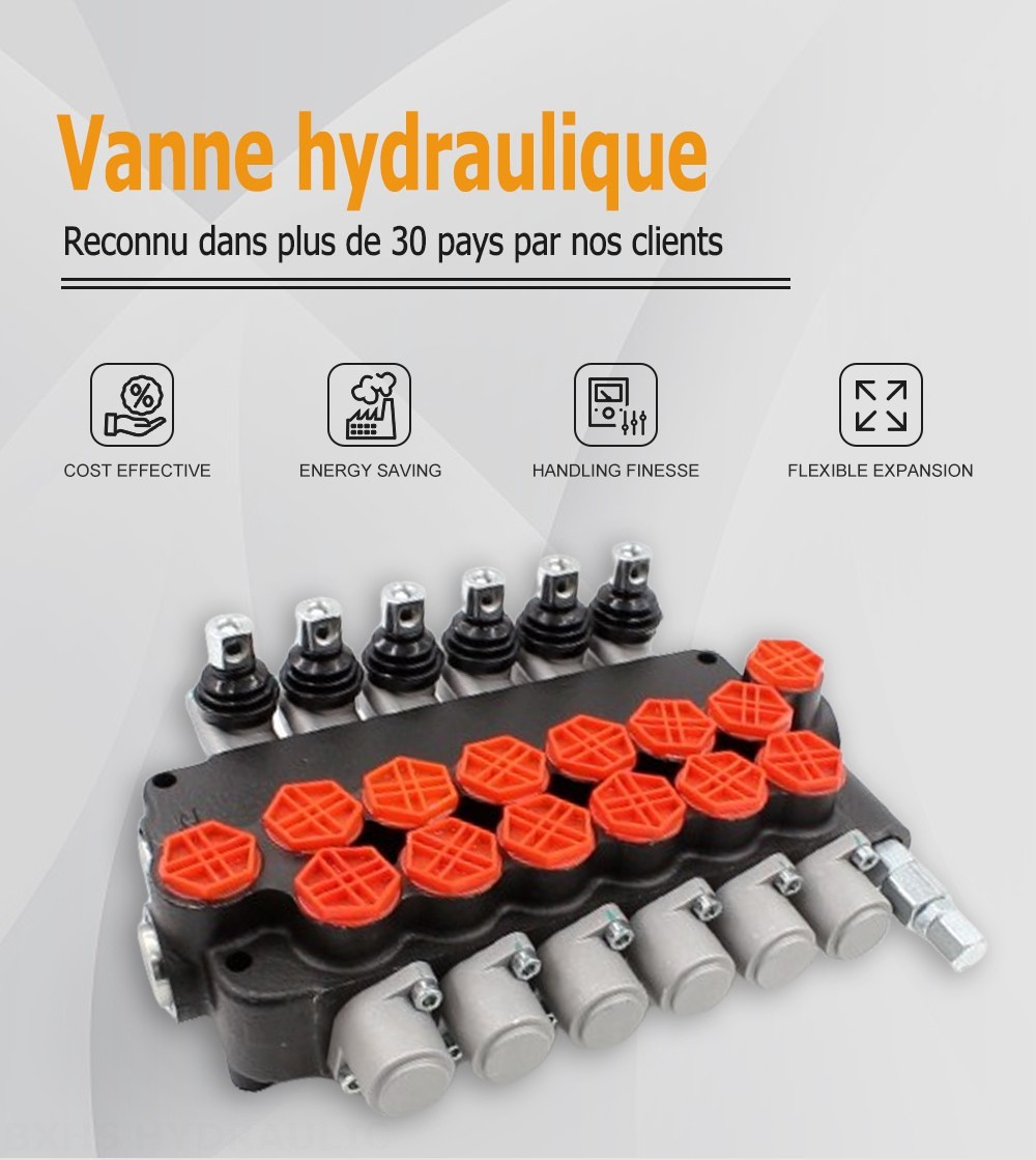 P80-G34-6OT Manuel 6 distributeurs Distributeur directionnel monobloc