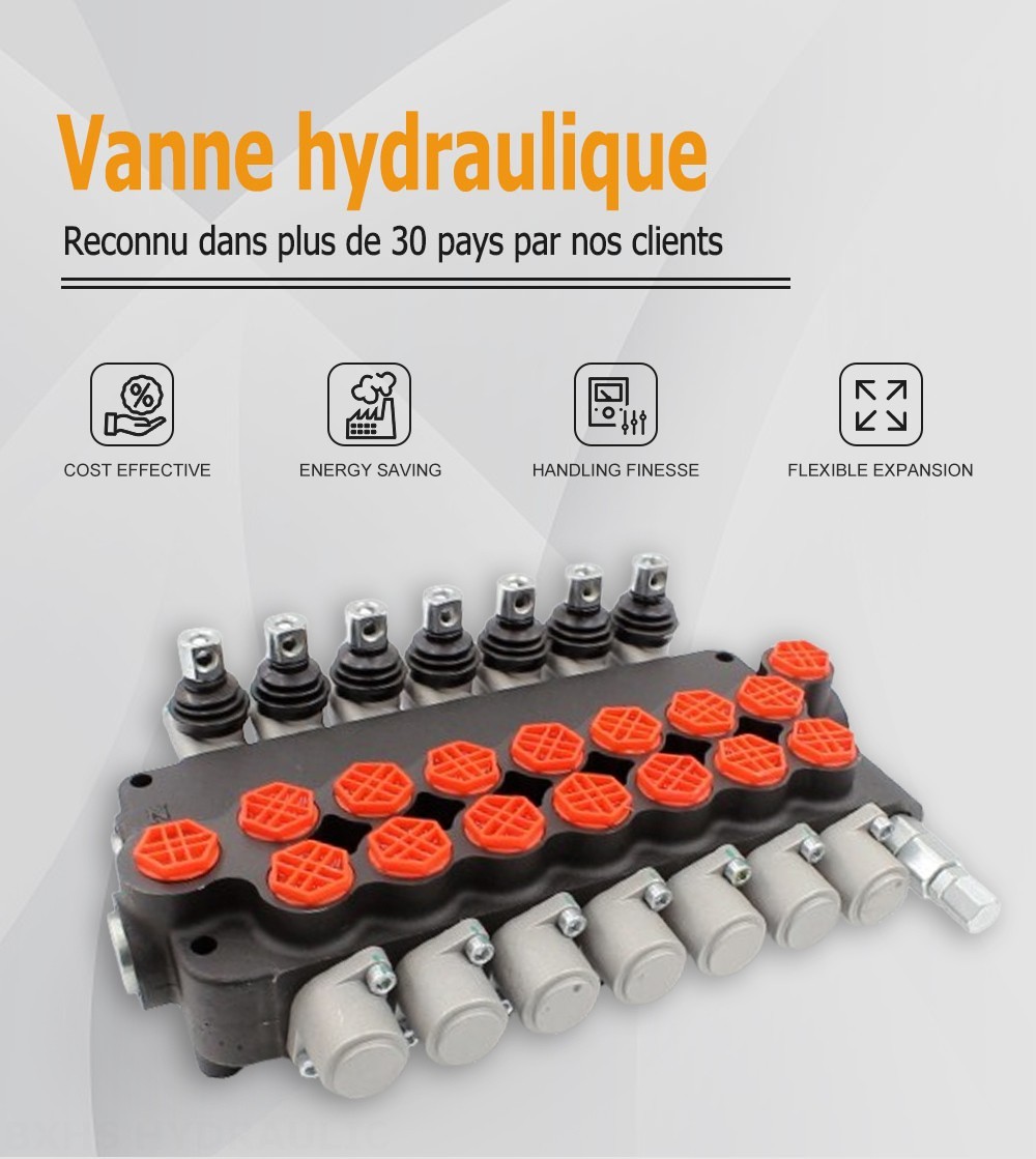 P80-G34-7OT Manuel 7 distributeurs Distributeur directionnel monobloc