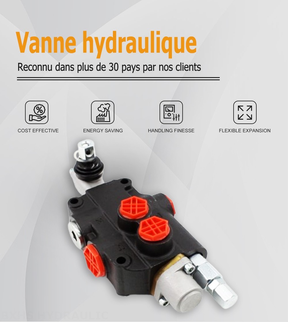 P80-G34-G12-1OT Manuel 1 distributeur Distributeur directionnel monobloc