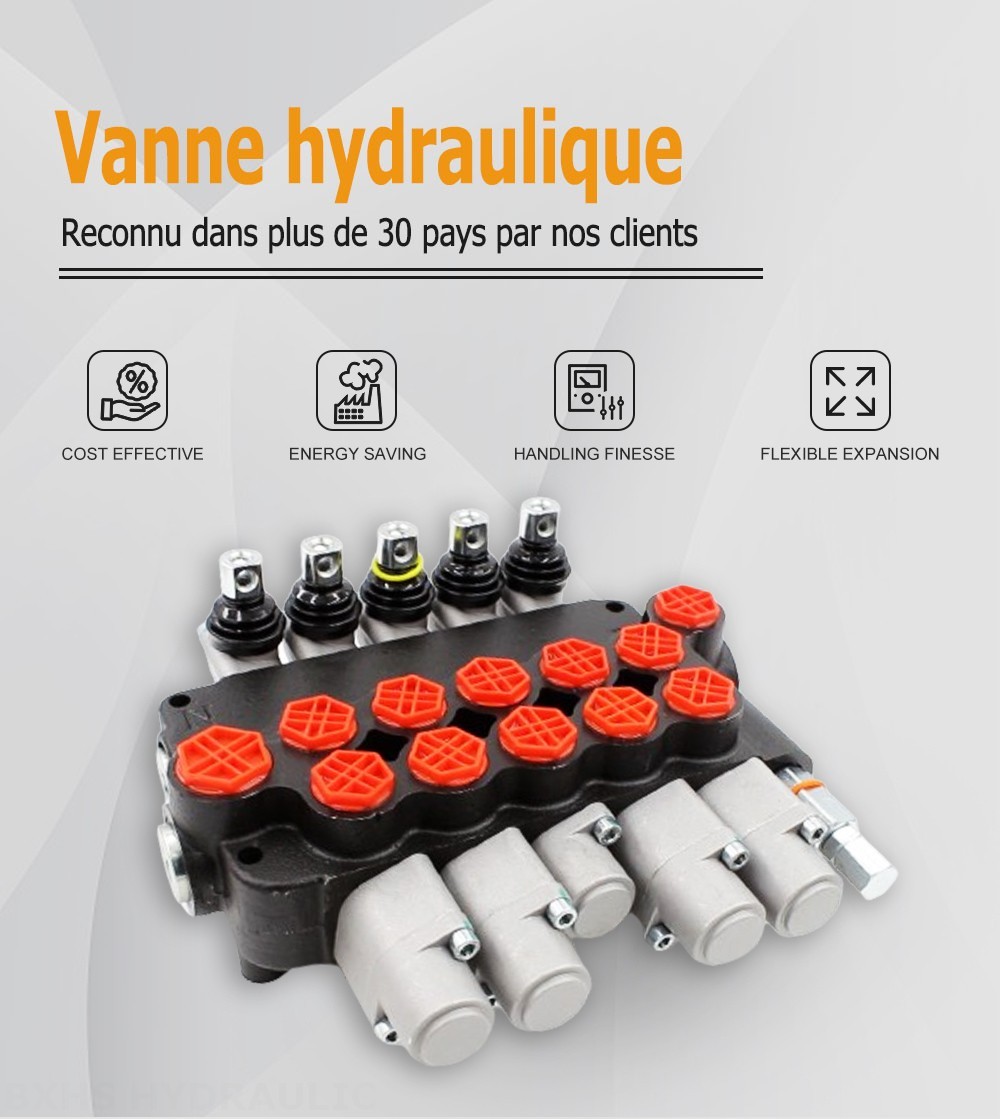 P80-G34-G12-2OT-YW-2OT Manuel 5 distributeurs Distributeur directionnel monobloc