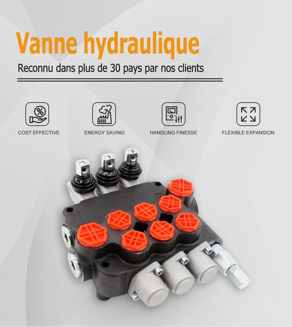 P80-G34-G12-3OT Manuel 3 distributeurs Distributeur directionnel monobloc