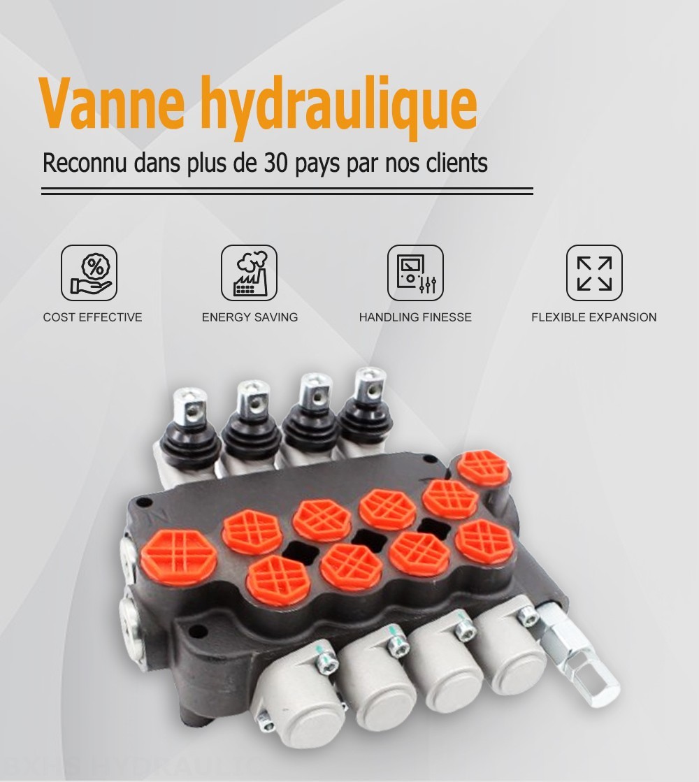 P80-G34-G12-4OT Manuel 4 distributeurs Distributeur directionnel monobloc