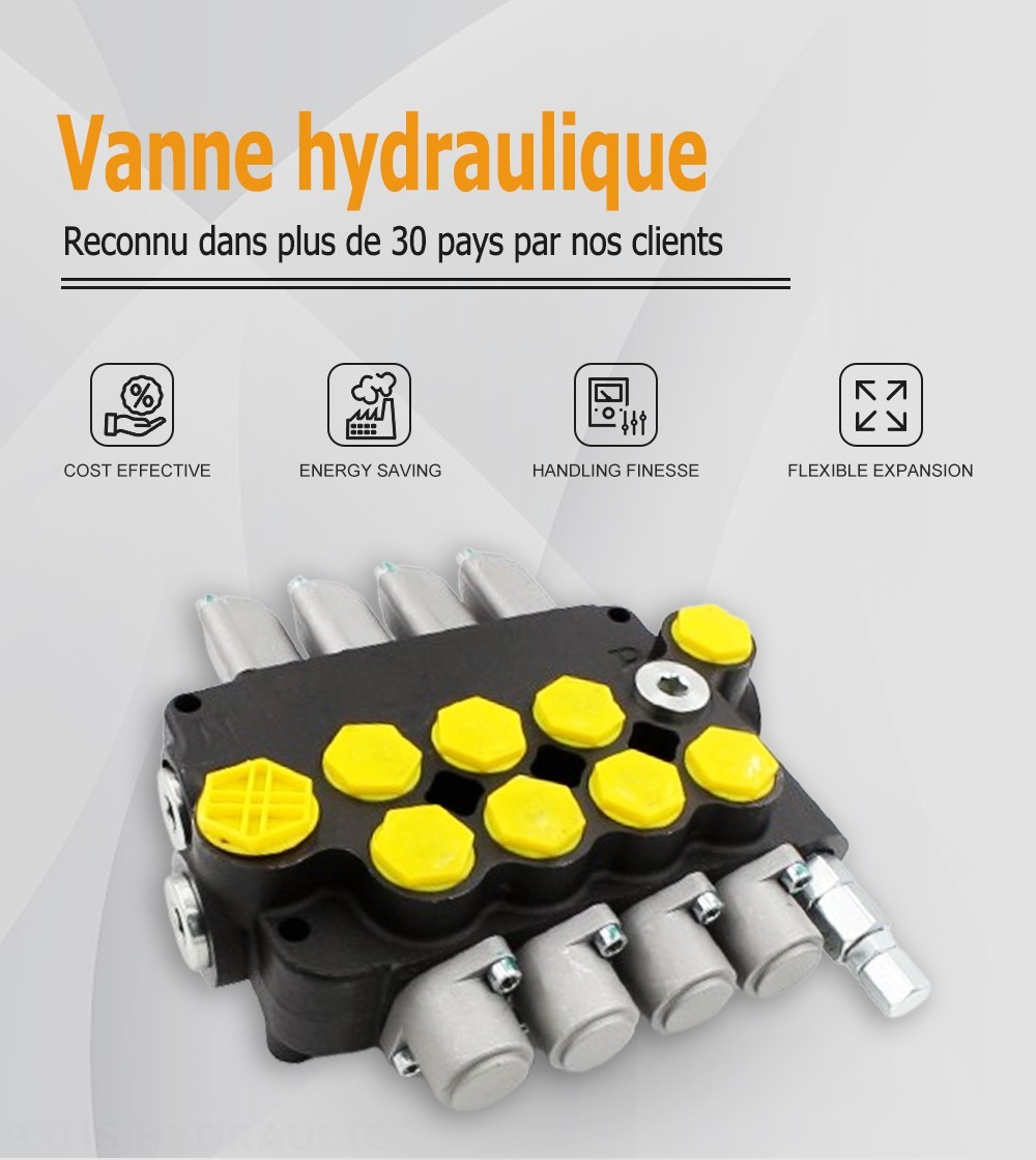 P80-G34-G12-AT-3OT Manuel 4 distributeurs Distributeur directionnel monobloc