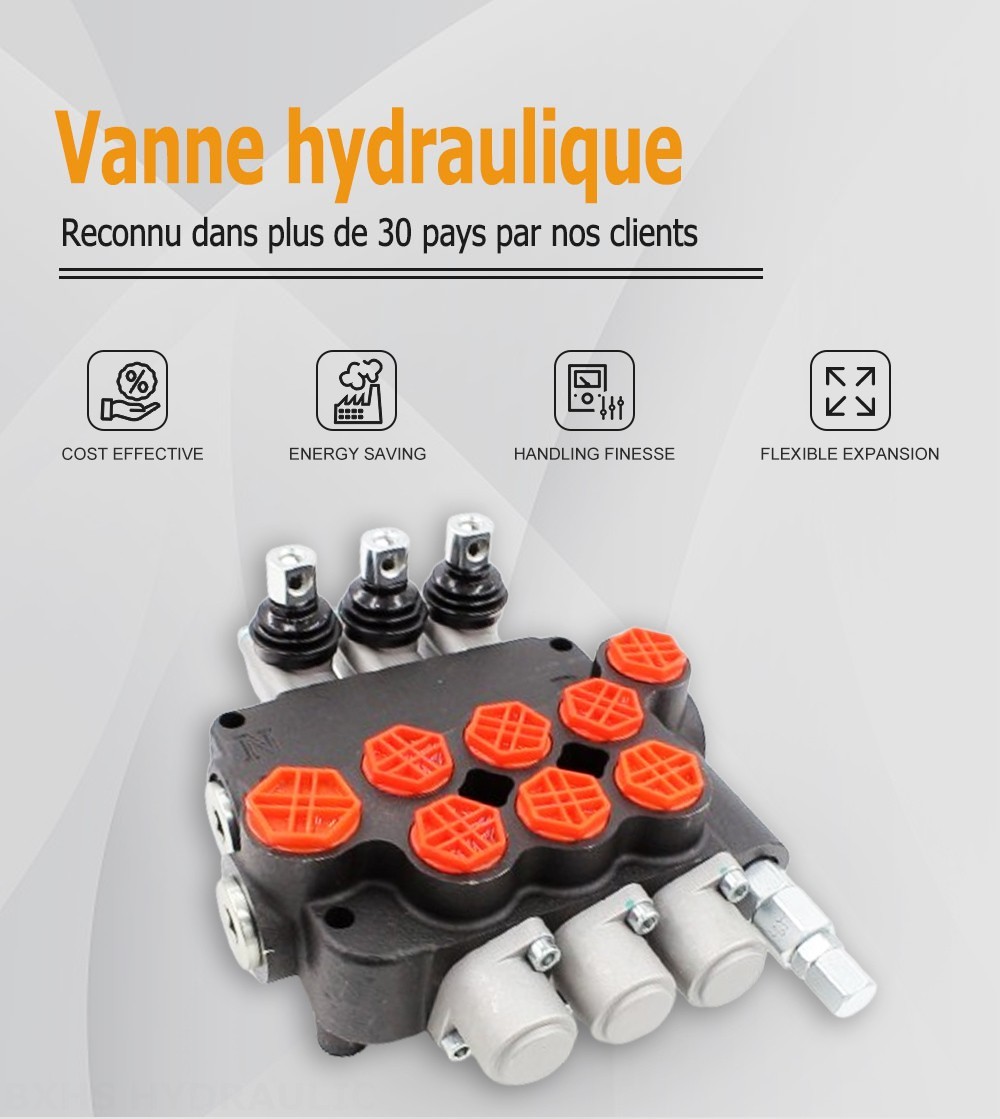 P80-G34-G12-OT Manuel 3 distributeurs Distributeur directionnel monobloc