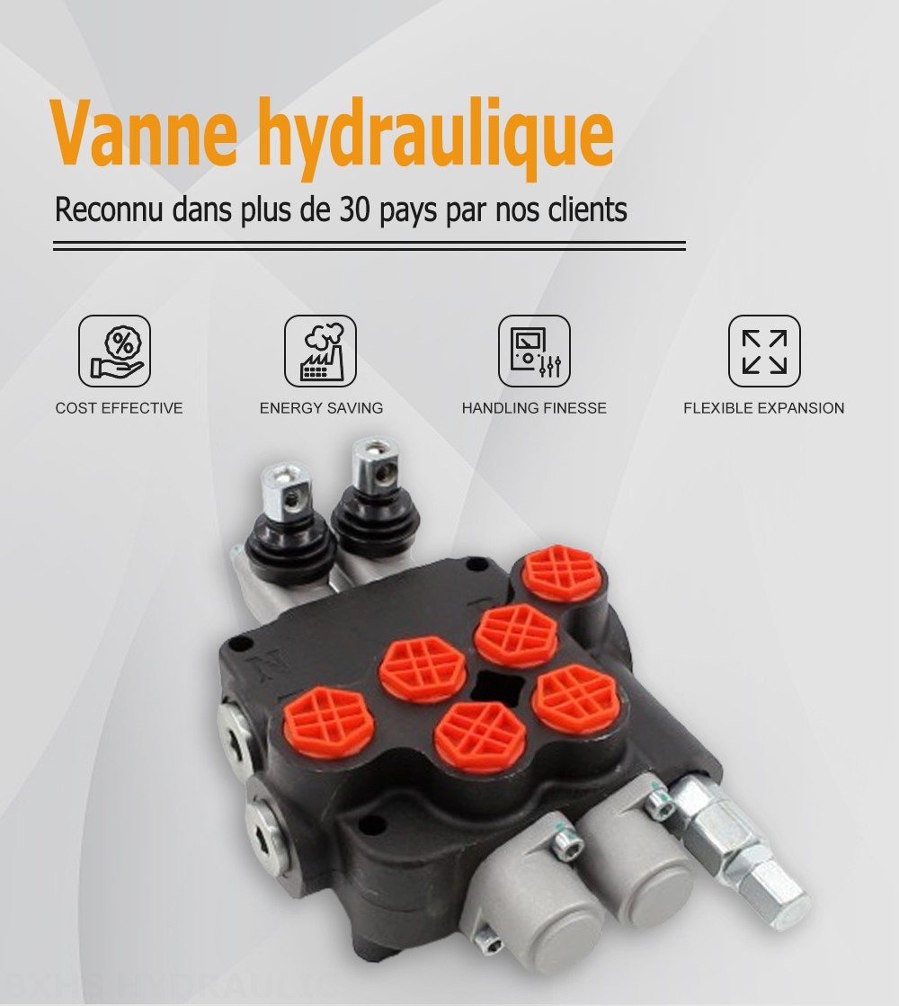 P80-G34-G12 Manuel 2 distributeurs Distributeur directionnel monobloc