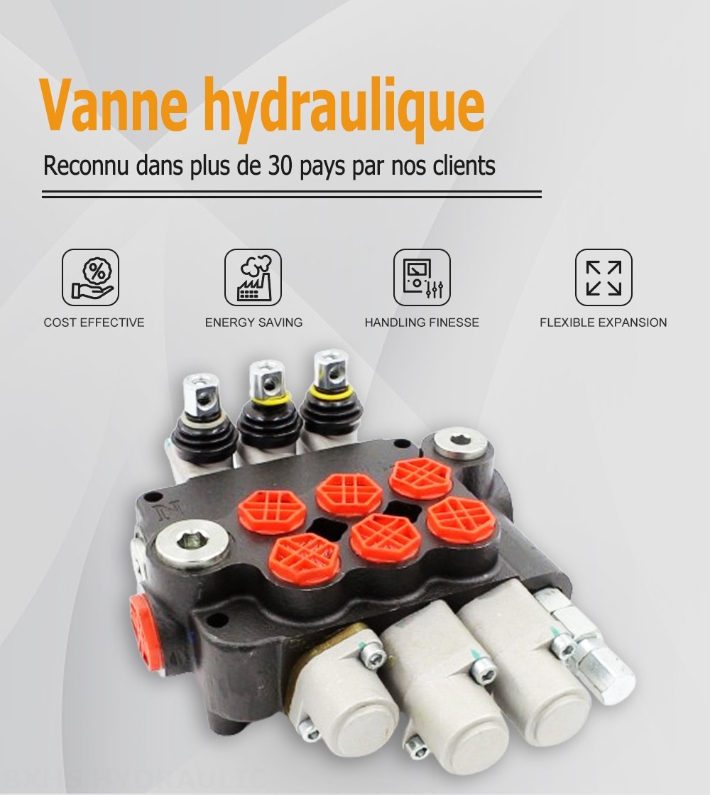 P80-G34-G12 Manuel 3 distributeurs Distributeur directionnel monobloc