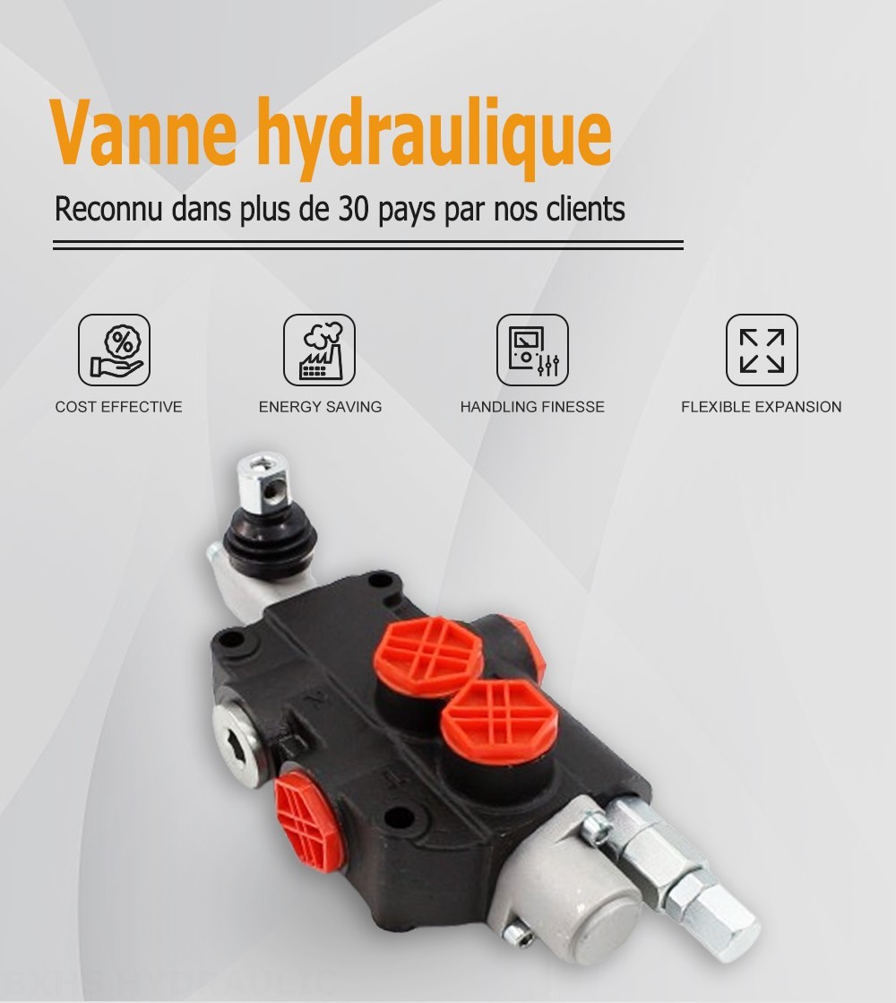 P80-G34-OT Manuel 1 distributeur Distributeur directionnel monobloc