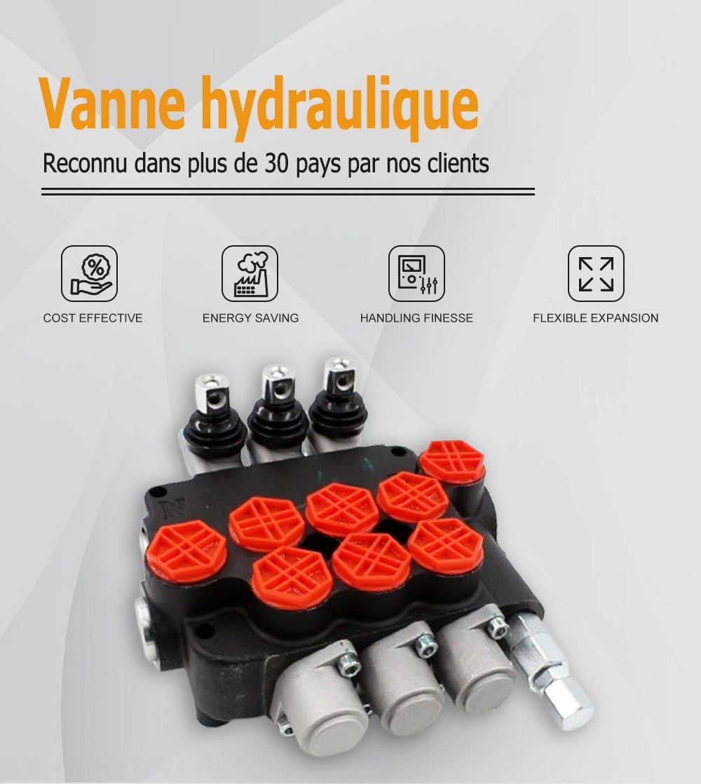 P80-G34-OT Manuel 3 distributeurs Distributeur directionnel monobloc