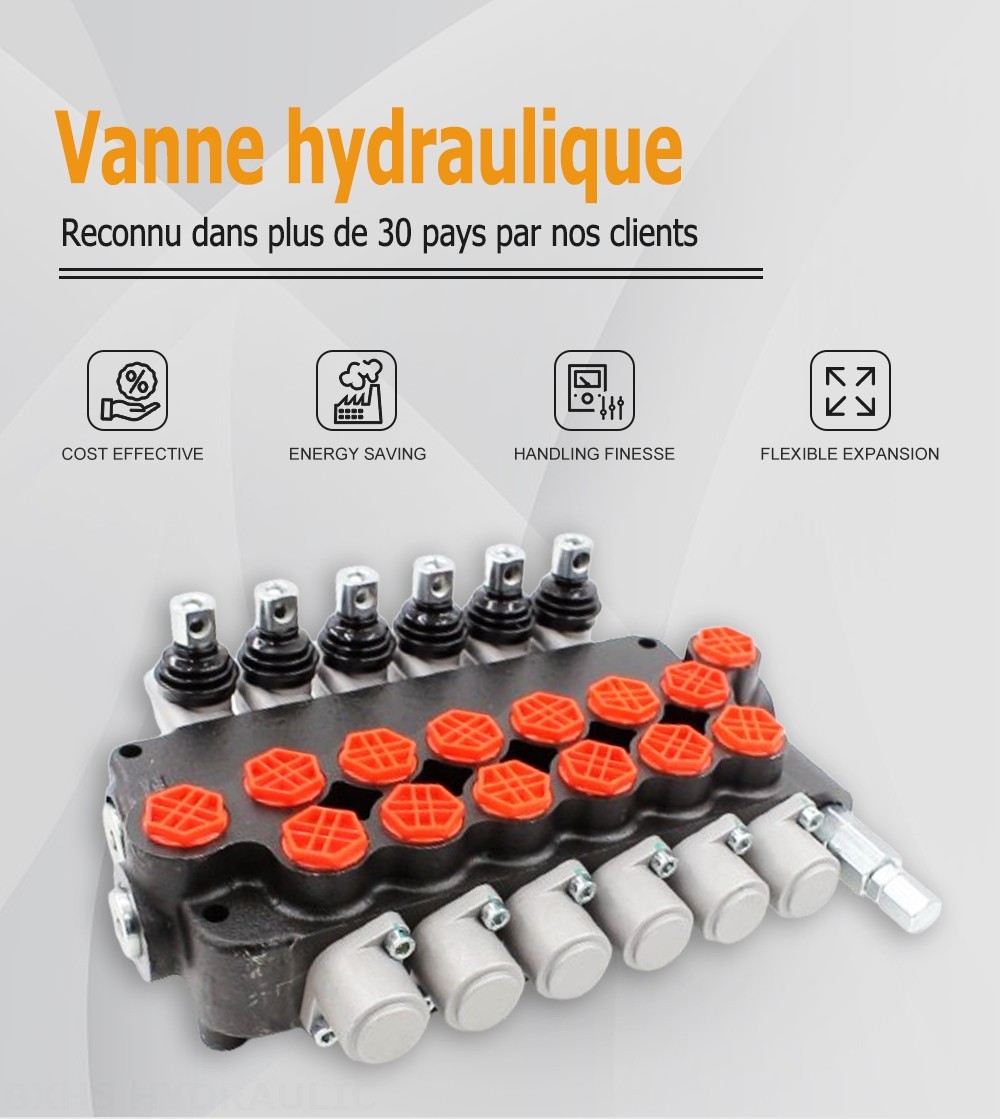 P80-G34-OT Manuel 6 distributeurs Distributeur directionnel monobloc