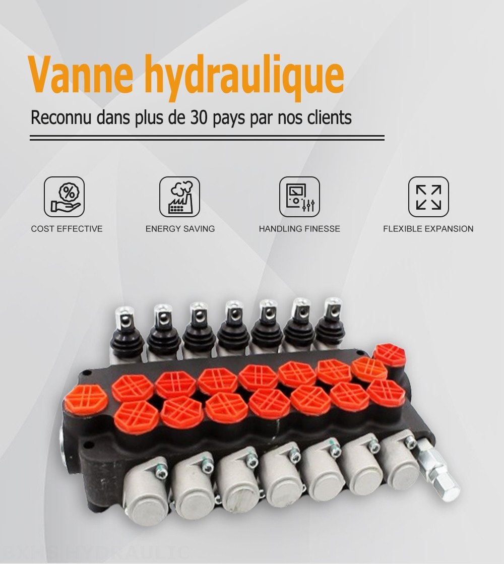 P80-G34-OT Manuel 7 distributeurs Distributeur directionnel monobloc