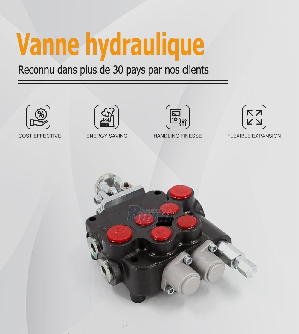 P80-U1-J2OT Manette 2 tiroirs Vanne directionnelle monobloc