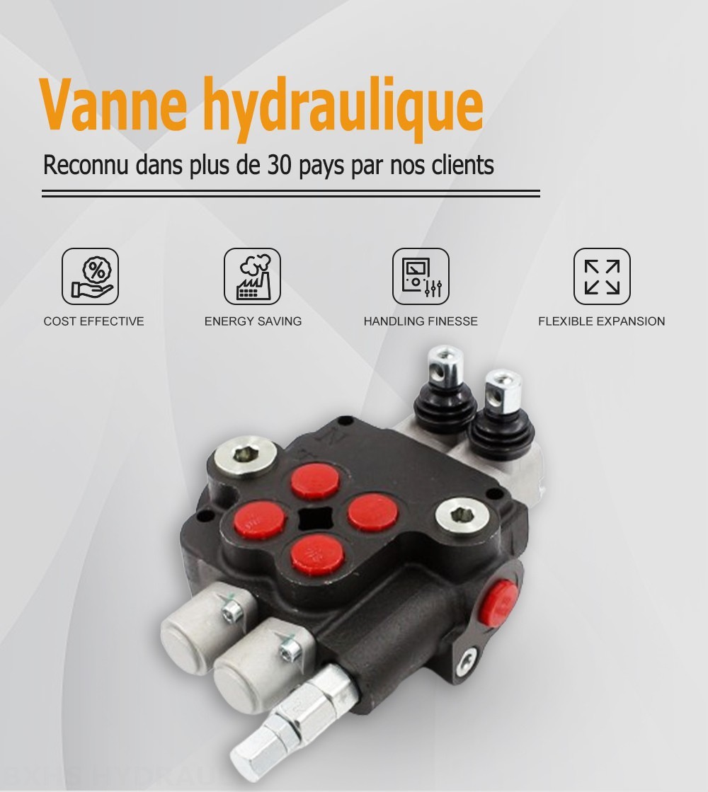 P80-U116-U78-2OT Manuel 2 distributeurs Distributeur directionnel monobloc