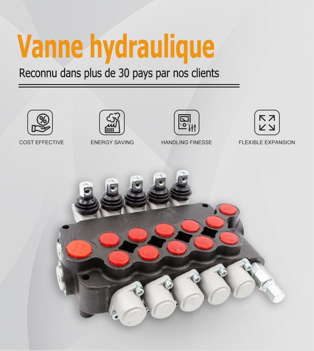 P80-U116-U78-5OT Manuel 5 distributeurs Distributeur directionnel monobloc