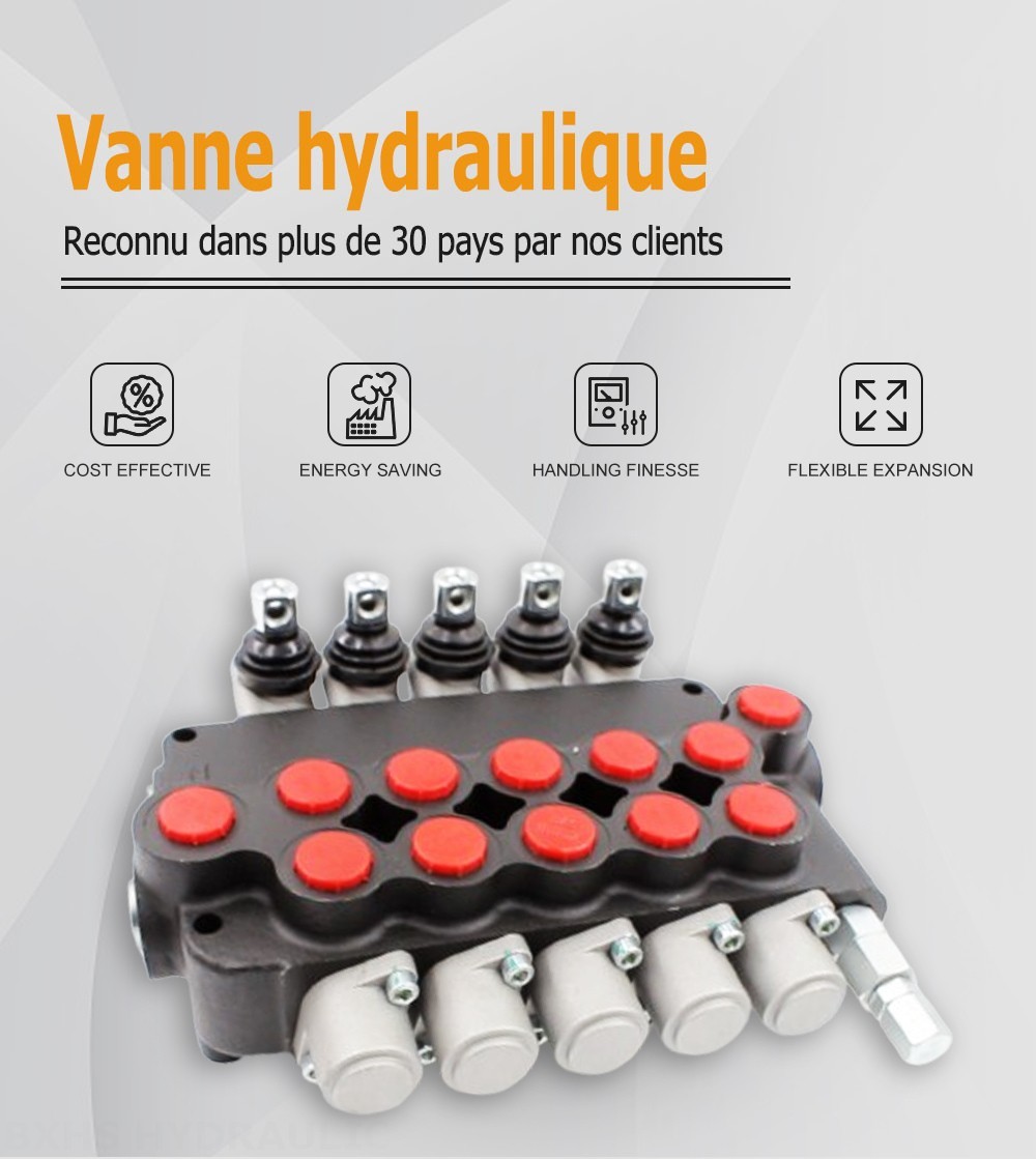 P80-U116-U78-OT Manuel 5 distributeurs Distributeur directionnel monobloc