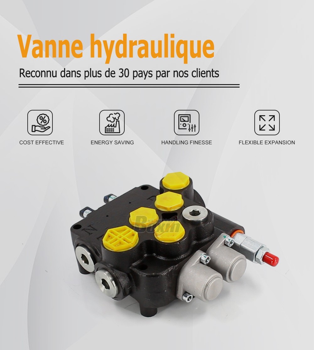 P80A-G-BT-OT Câble 2 tiroirs Vanne directionnelle monobloc