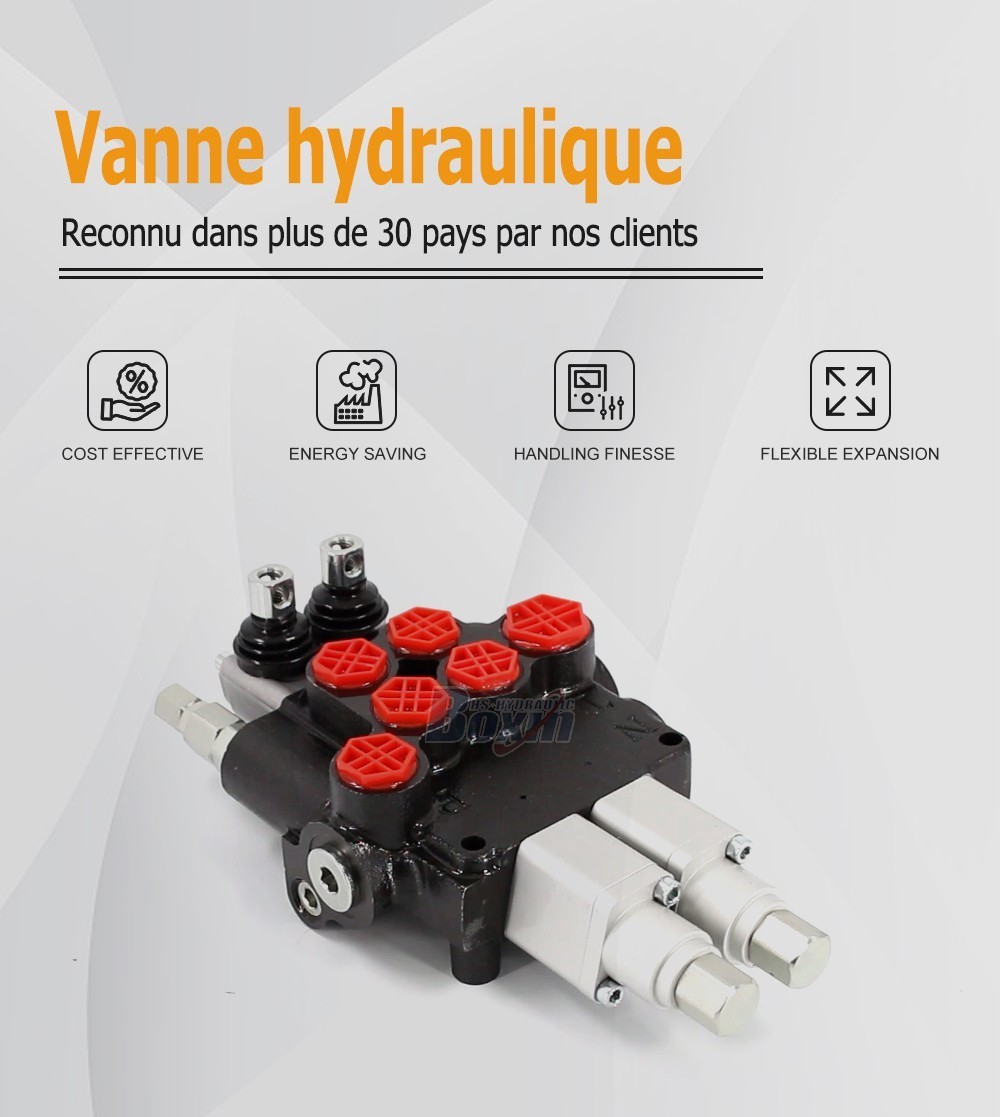P80AFT-2QTW1 Manuel 2 tiroirs Vanne directionnelle monobloc