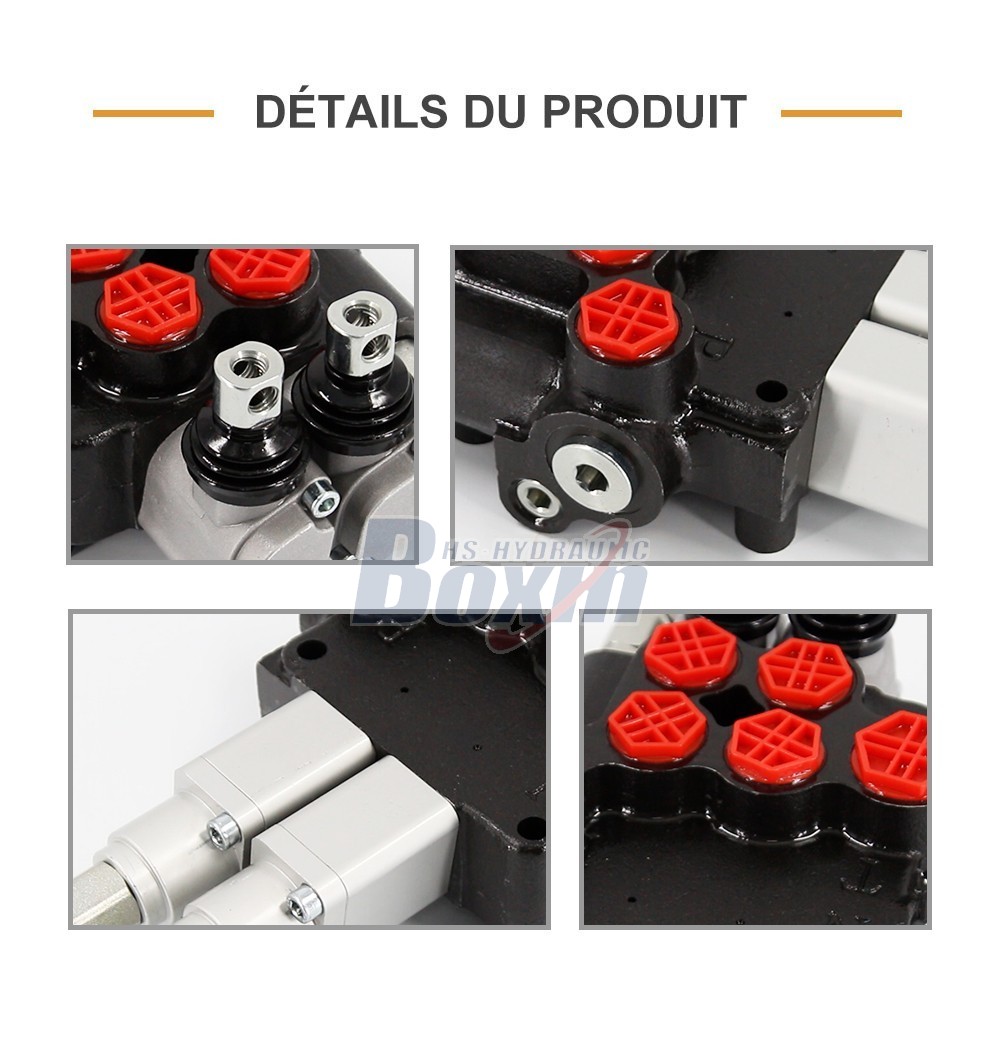 P80AFT-2QTW1 Manuel 2 tiroirs Vanne directionnelle monobloc