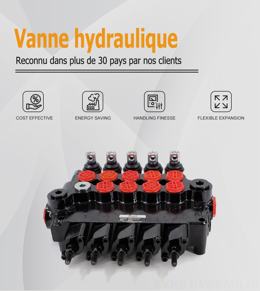 P80AZ Hydraulique et manuel 5 distributeurs Vanne de commande de stabilisateurs