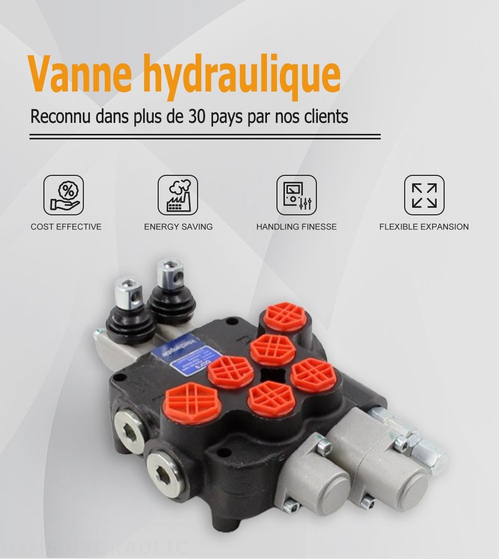 P80A Manuel 2 distributeurs Distributeur directionnel monobloc