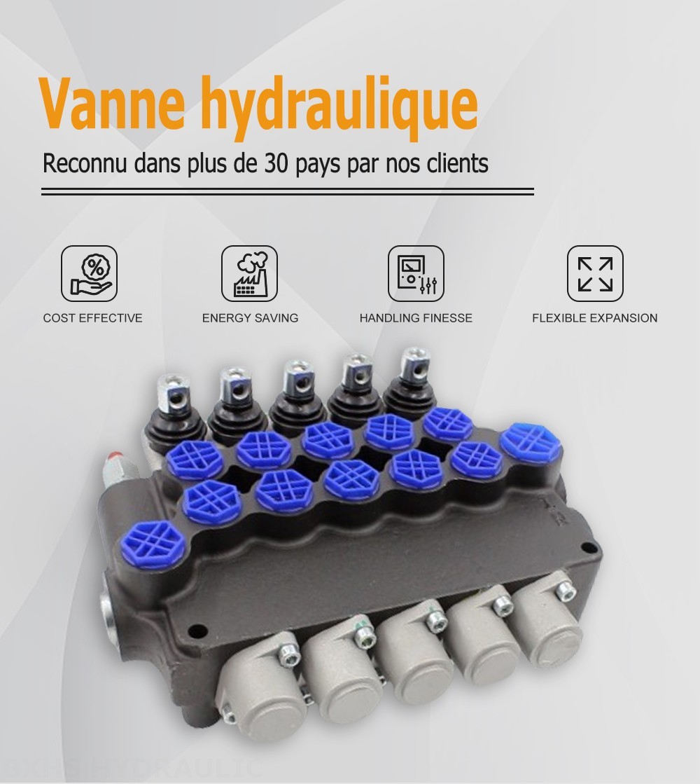 P80F-G34-OT Manuel 5 distributeurs Distributeur directionnel monobloc