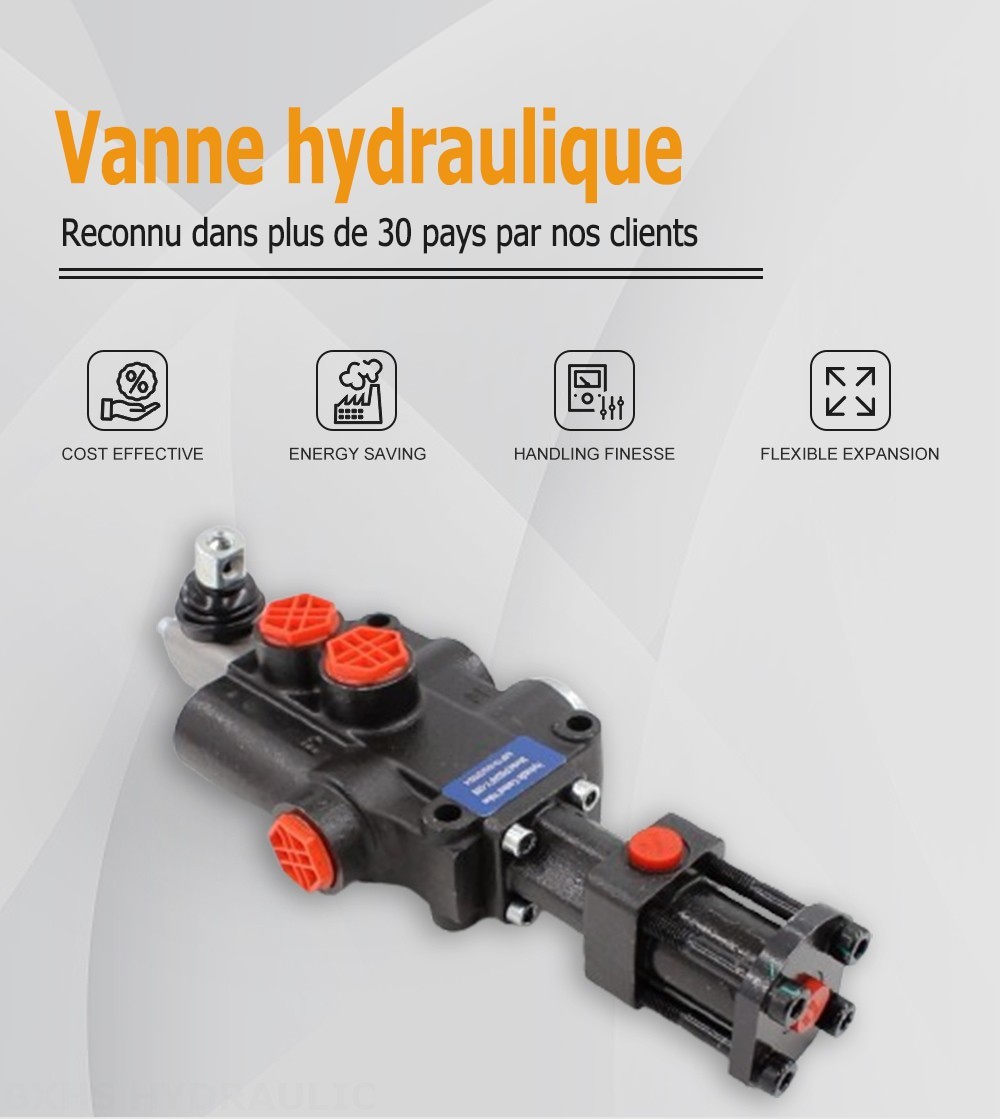 P80F-G34 Hydraulique 1 distributeur Distributeur directionnel monobloc