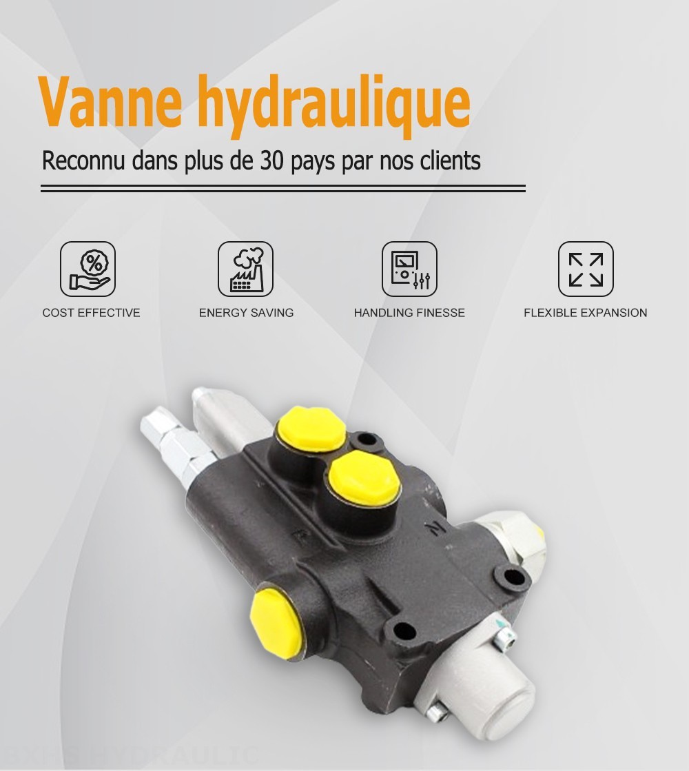 P80J Manuel 1 distributeur Distributeur directionnel monobloc