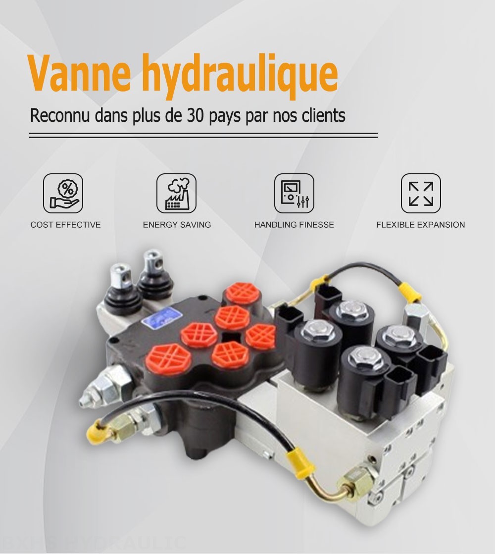 P80 Électro-hydraulique 2 distributeurs Distributeur directionnel monobloc