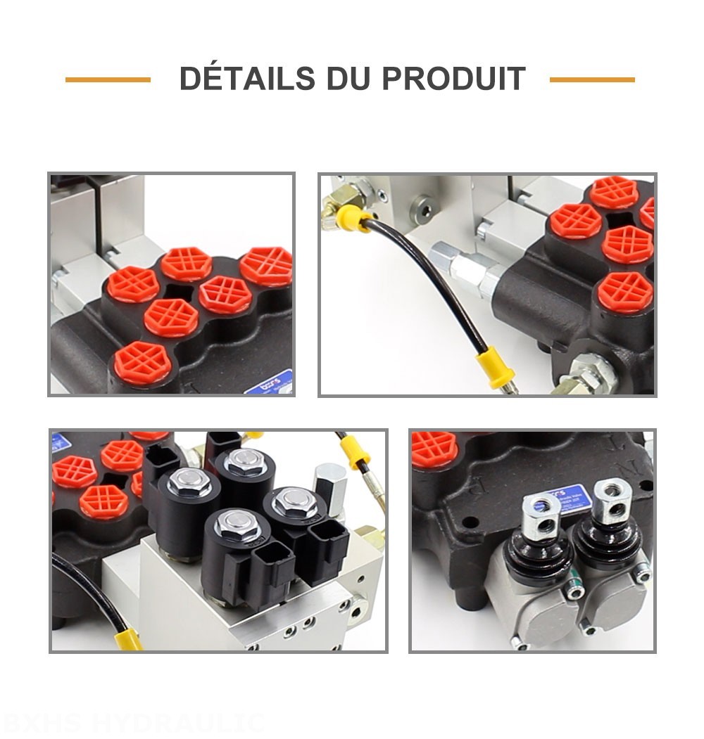 P80 Électro-hydraulique 2 distributeurs Distributeur directionnel monobloc