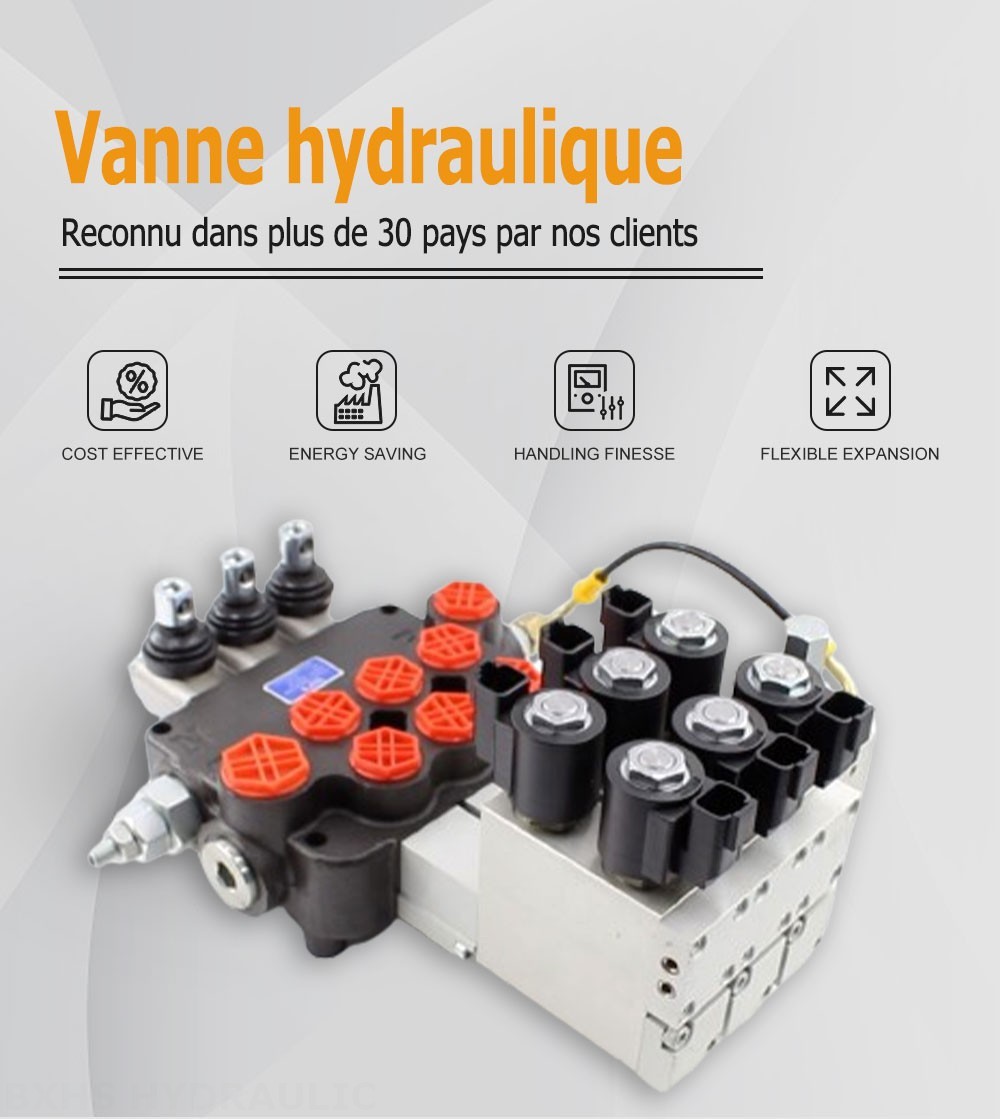 P80 Électro-hydraulique 3 distributeurs Distributeur directionnel monobloc