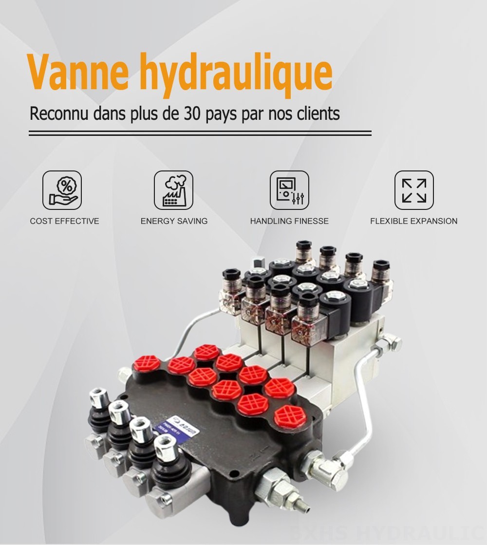 P80 Électro-hydraulique 4 distributeurs Vanne directionnelle monobloc