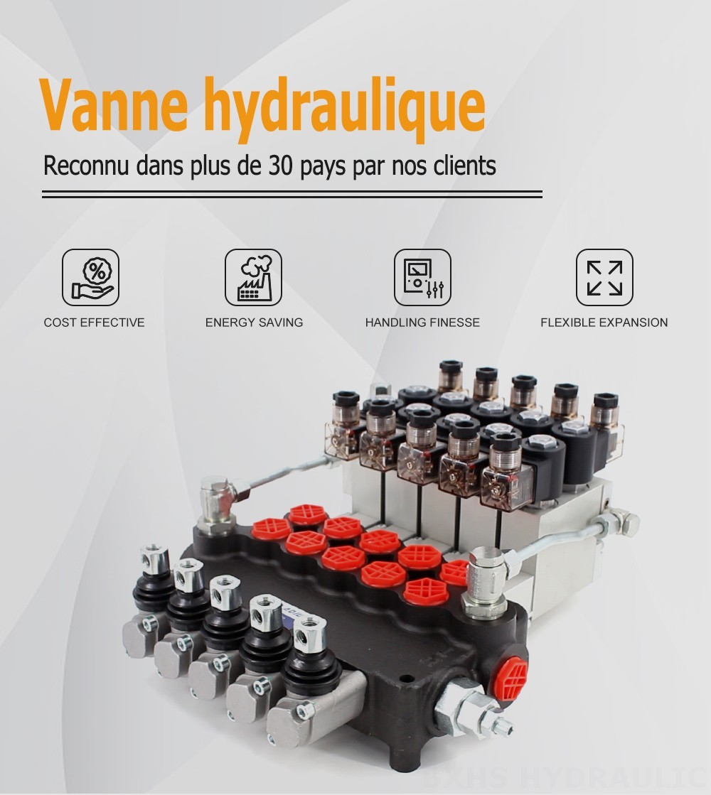 P80 Électro-hydraulique 5 distributeurs Vanne directionnelle monobloc
