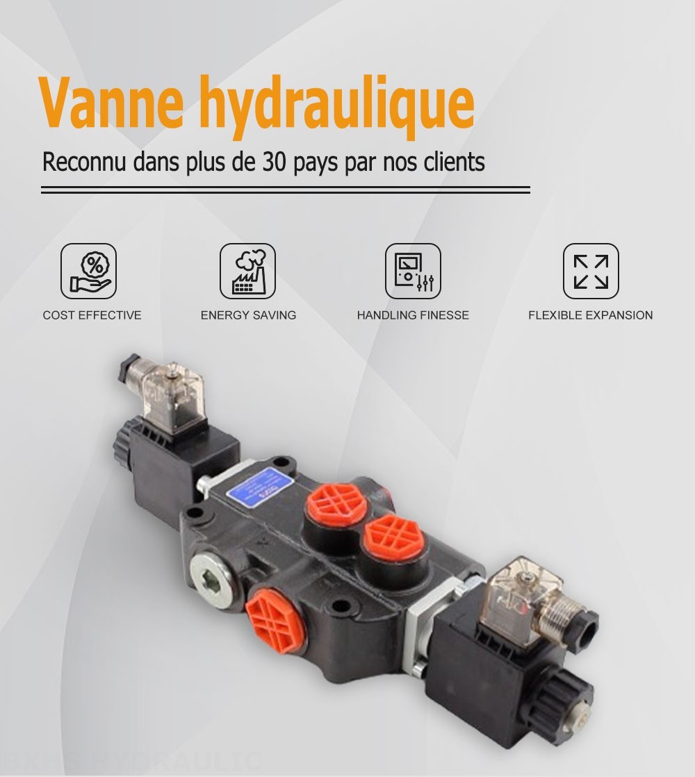 P80 Solénoïde 1 distributeur Distributeur directionnel monobloc