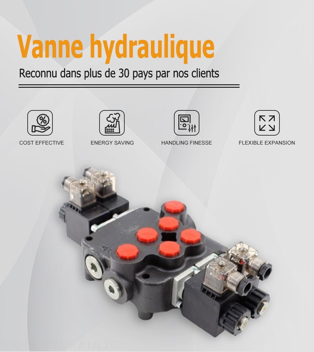 P80 Solénoïde 2 distributeurs Distributeur directionnel monobloc