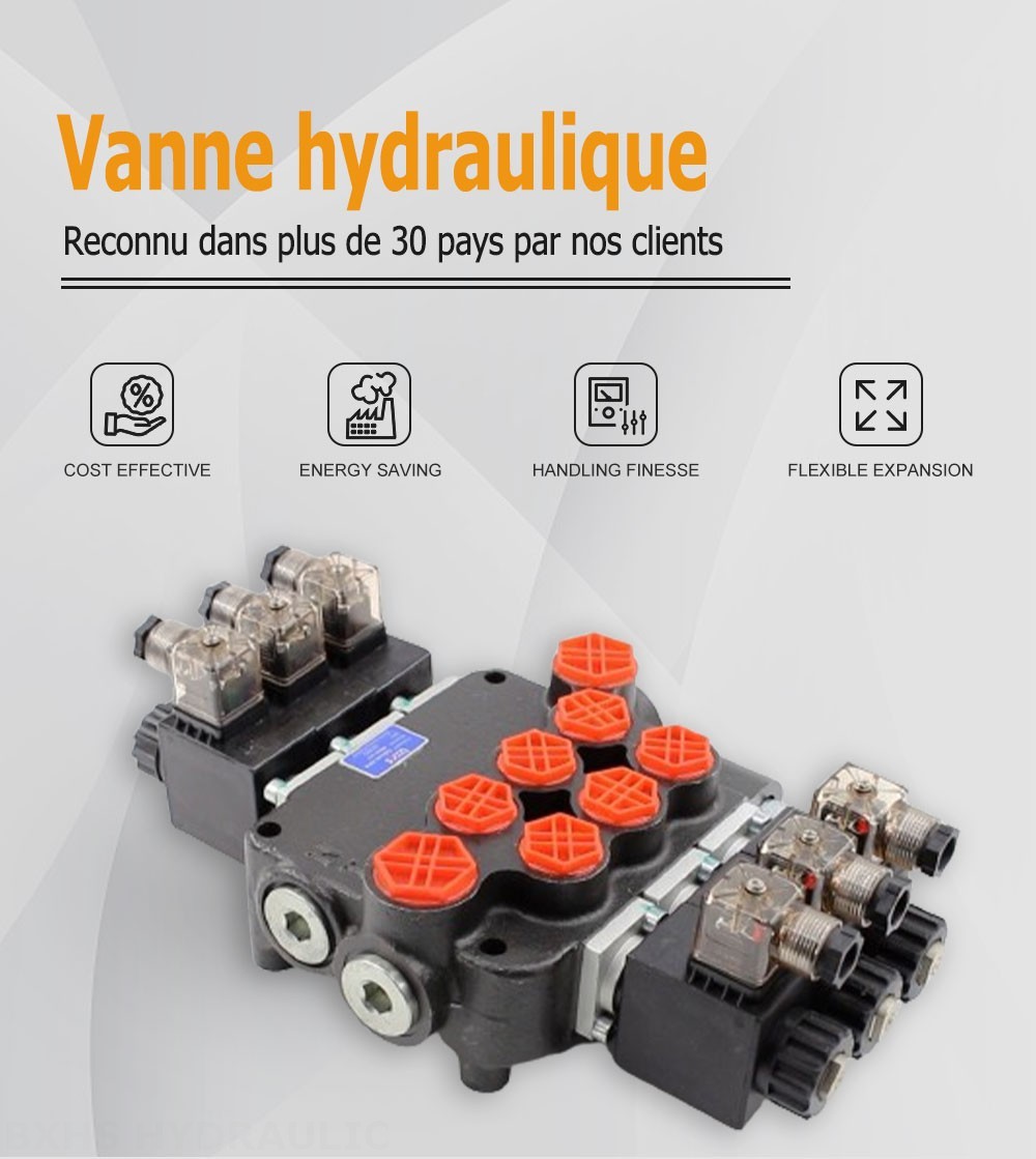 P80 Solénoïde 3 distributeurs Distributeur directionnel monobloc