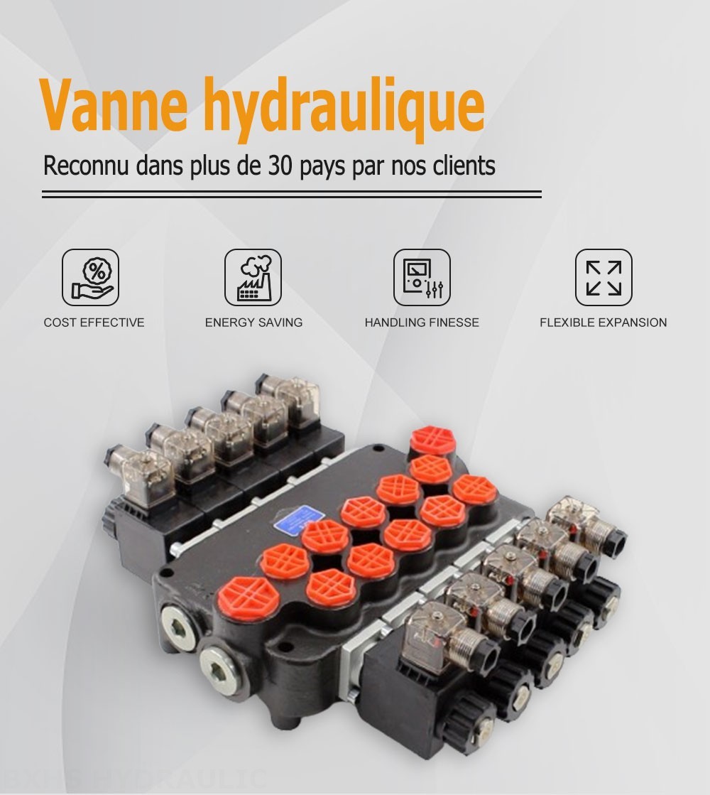 P80 Solénoïde 5 distributeurs Distributeur directionnel monobloc